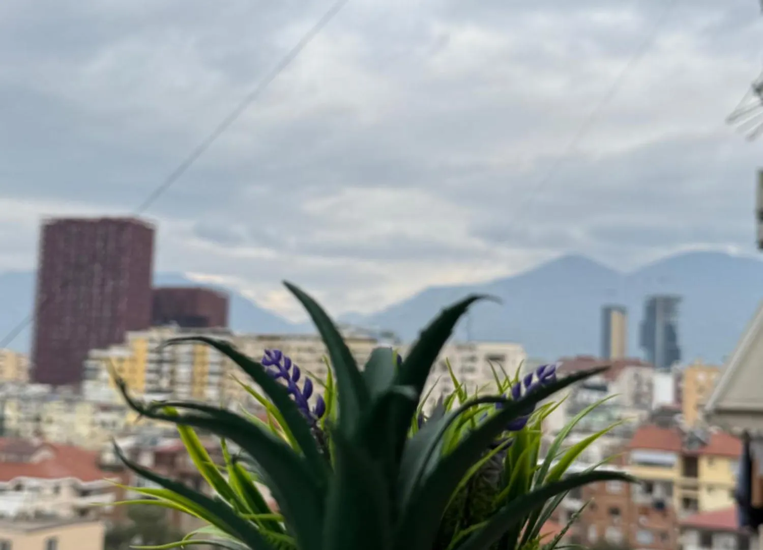 Solea Tirana Apartment Albanië